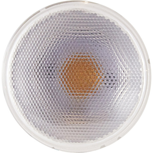 SATCO 12W PAR 30/LN/FL 3000K LED Bulb (S29431)