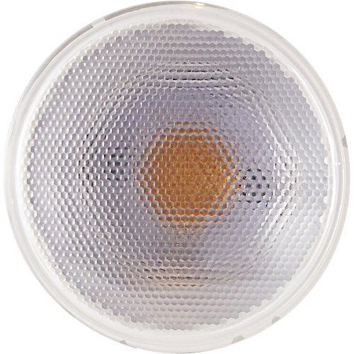 SATCO 12W PAR 30/LN/FL 3000K LED Bulb (S29431)