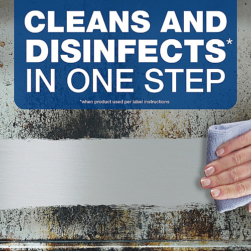 Spic and Span 3-in-1 Cleaner (75353)