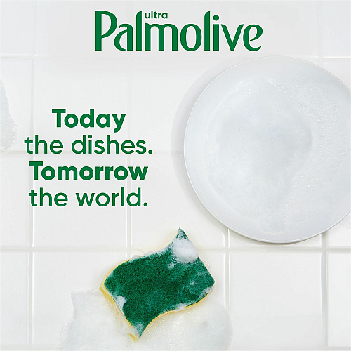Palmolive Ultra Dish Soap Oxy Degreaser (US04229A)