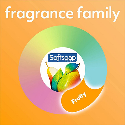 Softsoap Antibacterial White Tea Hand Soap (US03574A)