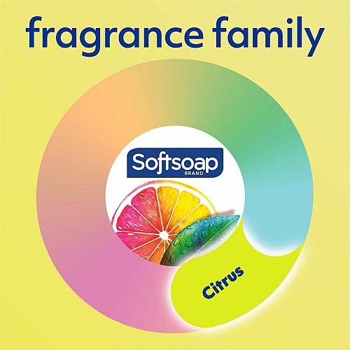 Softsoap Antibacterial Hand Soap Pump (US04206A)