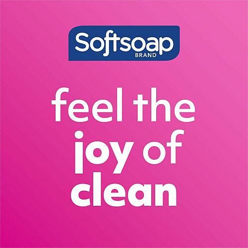 Softsoap Antibacterial Hand Soap (US05261ACT)