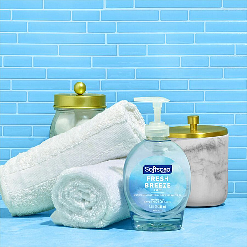 Softsoap Fresh Breeze Hand Soap (US04964A)