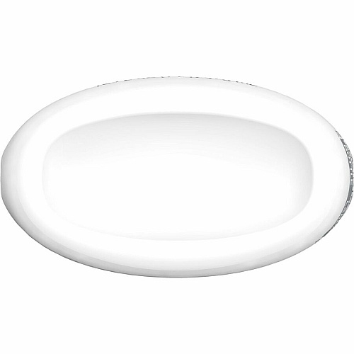 Clorox Disinfecting, Sanitizing & Antibacterial (60152)