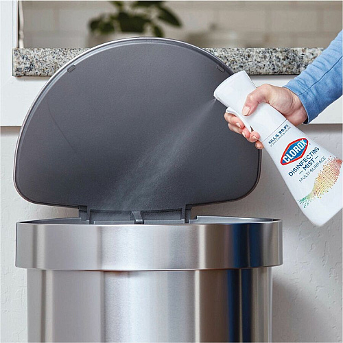 Clorox Disinfecting, Sanitizing & Antibacterial (60152)