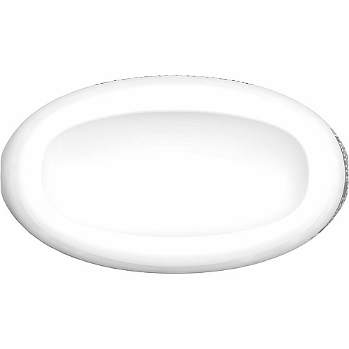 Clorox Disinfecting, Sanitizing & Antibacterial (60151)
