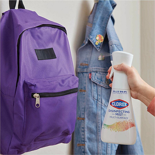 Clorox Disinfecting, Sanitizing & Antibacterial (60151)