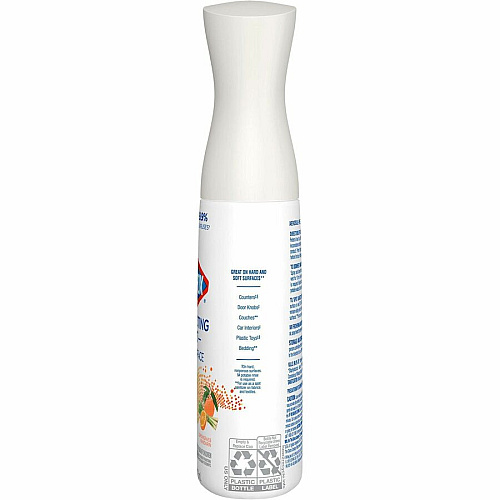 Clorox Disinfecting, Sanitizing & Antibacterial (60151)