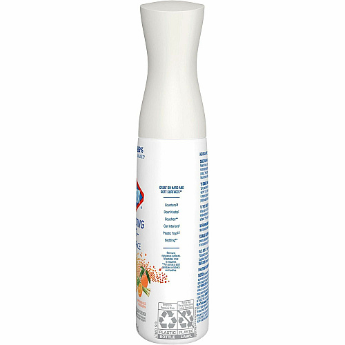 Clorox Disinfecting, Sanitizing & Antibacterial (60151)