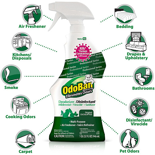 OdoBan Eucalyptus Deodorizer Disinfectant Spray (910062Q12CT)
