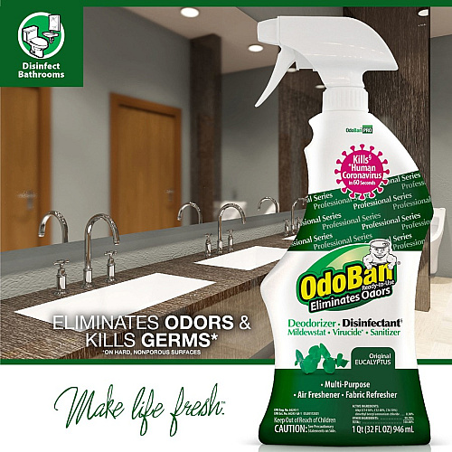 OdoBan Eucalyptus Deodorizer Disinfectant Spray (910062Q12CT)