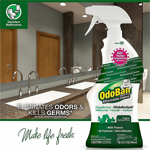 OdoBan Eucalyptus Deodorizer Disinfectant Spray (910062Q12CT)