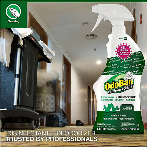 OdoBan Eucalyptus Deodorizer Disinfectant Spray (910062Q12)