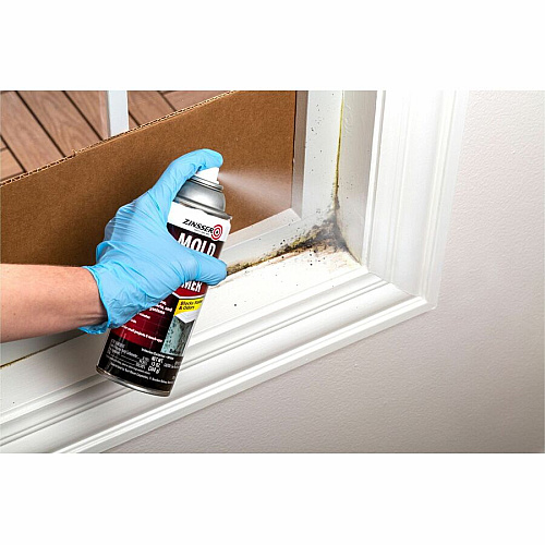 Zinsser Mold Killing Primer (287512)