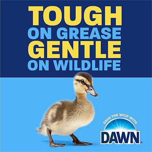 Dawn Ultra Dish Liquid Soap (01301)