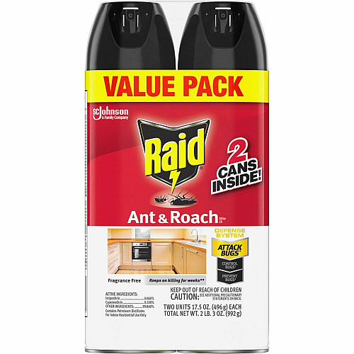 Raid Ant & Roach Killer Spray (386225CT)
