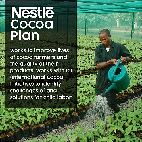 Nestle Abuelita Mexican Style Hot Chocolate Mix (20200)