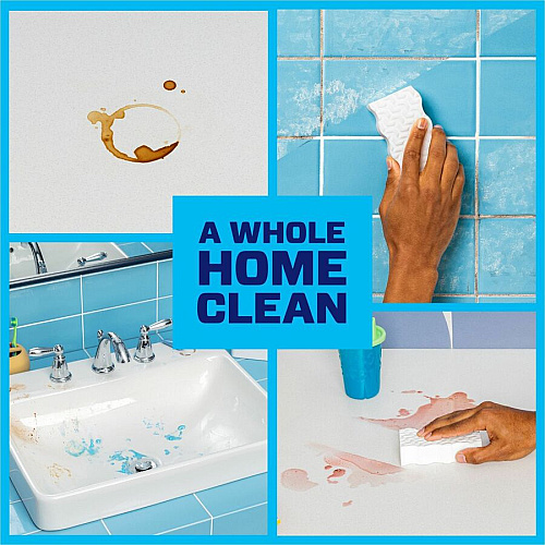 Mr. Clean Magic Eraser Variety Pk (12396)
