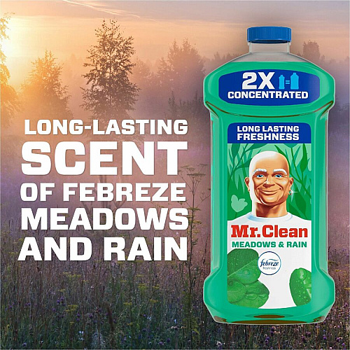 Mr. Clean Multi-Surface Cleaner (10725)