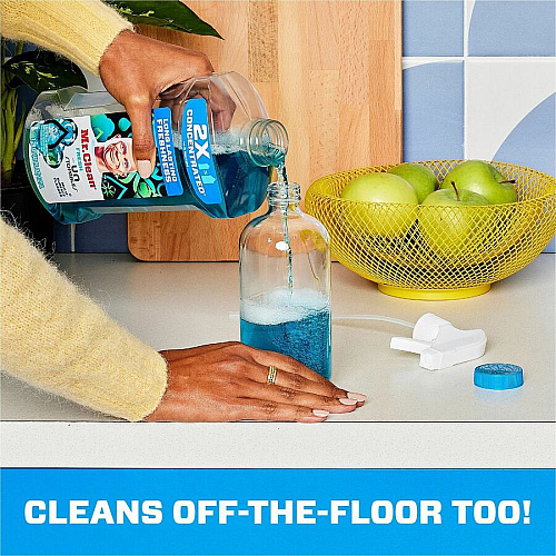 Mr. Clean Multi-Surface Cleaner (10725)