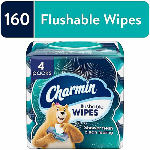 Charmin Flushable Wet Wipes (79619)