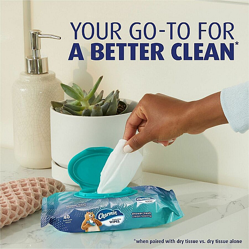 Charmin Flushable Wet Wipes (79619)
