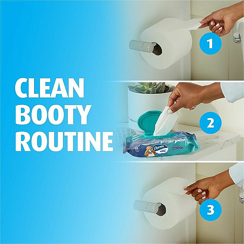 Charmin Flushable Wet Wipes (79619)