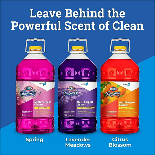 Clorox Fraganzia Multi-Purpose Cleaner (60615)