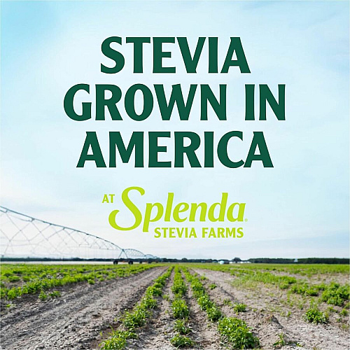 Splenda Single-serve Sweetener Packets (SP82000310)