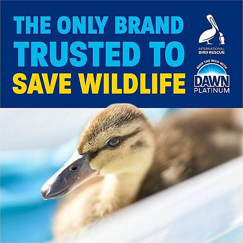 Dawn Platinum Dishwashing Soap (18842)