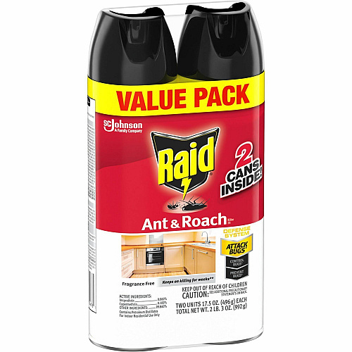 Raid Ant & Roach Killer Spray (386225)