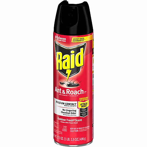 Raid Ant & Roach Killer Spray (386220)