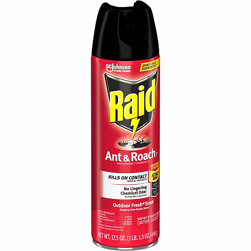 Raid Ant & Roach Killer Spray (386220)