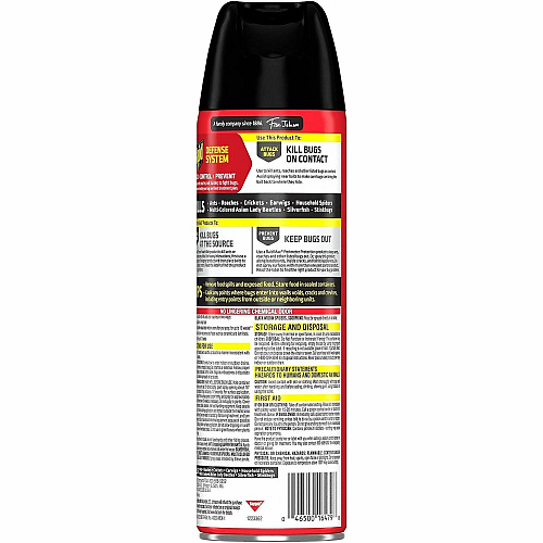 Raid Ant & Roach Killer Spray (386214)