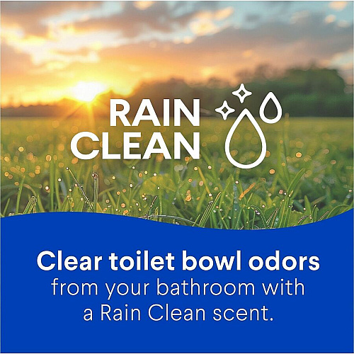 Clorox Toilet Bowl Cleaner with Bleach (30924)