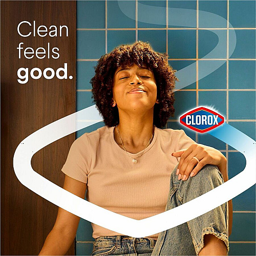 Clorox Toilet Bowl Cleaner with Bleach (30924)