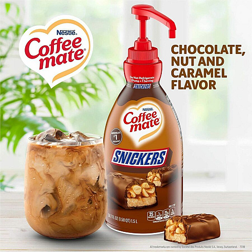 Coffee mate Liquid Pump Flavored Creamer (97955CT)