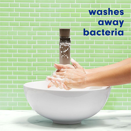 Softsoap Liquid Hand Soap (US05266ACT)
