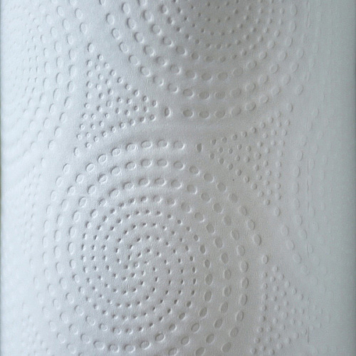 Genuine Joe Kitchen Roll Flexible Size Towels (24080)