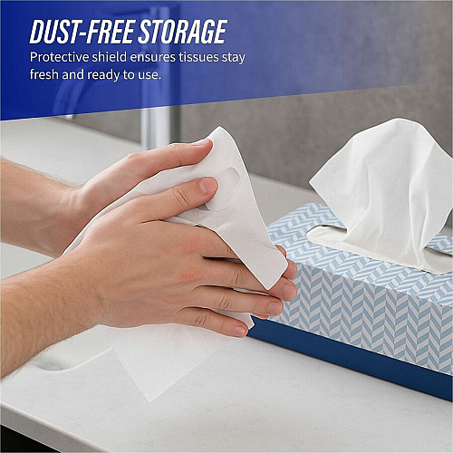 Genuine Joe Facial Tissue (26100)