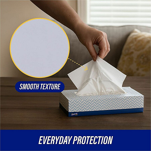 Genuine Joe Facial Tissue (26100)