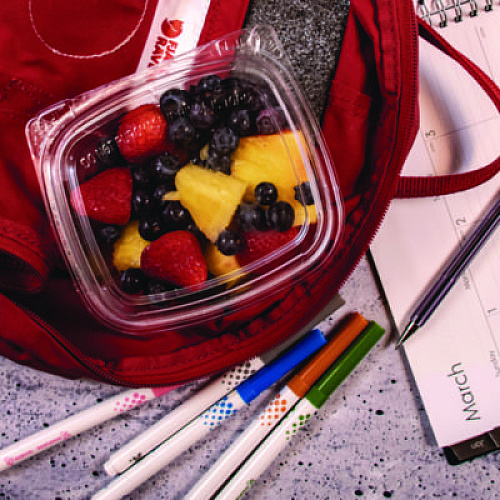 Dart ClearPac SafeSeal Tamper-Resistant/Evident Containers, Domed Lid, 12 oz, Clear, Plastic, 100/Bag, 2 Bags/Carton (CH12DED)