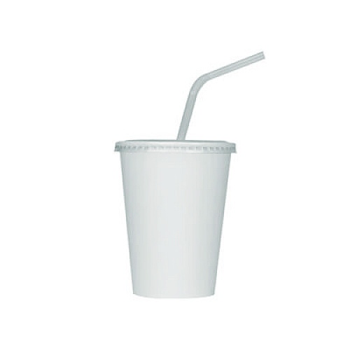 Karat Double Poly Paper Cold Cups, 12 oz, White, 1,000/Carton (CKCP12W)
