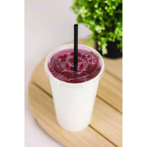 Karat Double Poly Paper Cold Cups, 16 oz, White, 1,000/Carton (CKCP16W)