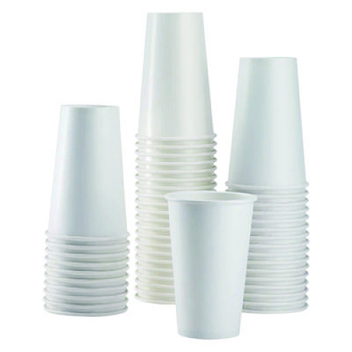 Karat Double Poly Paper Cold Cups, 16 oz, White, 1,000/Carton (CKCP16W)