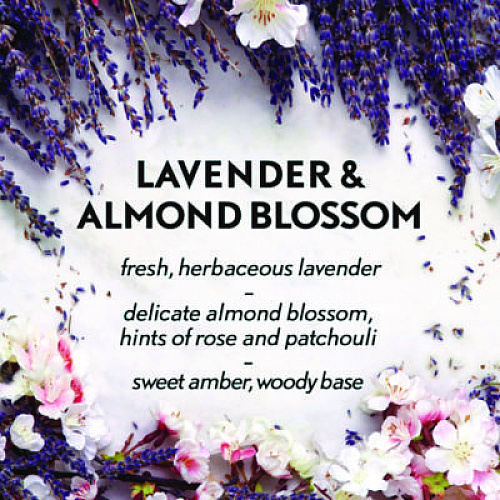 Air Wick Essential Mist Starter Kit, Lavender and Almond Blossom, 0.67 oz. Bottle (98576KT)