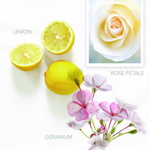 Pure by Gloss Hand Wash, Vibrant Lemon Scent, 12.2 oz, 12/Carton (100427)