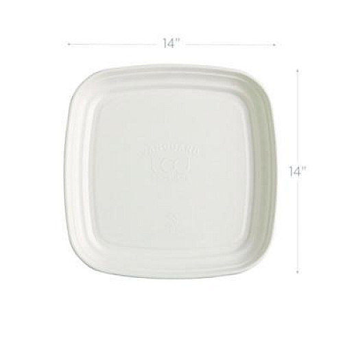 Eco-Products Regalia Renewable Sugarcane Tray, 9.06 x 14.37, White, Sugarcane, 100/Carton (EPSCTRS14NFA)