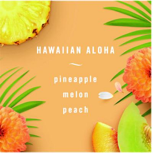 Febreze PLUG Air Freshener Refills, Hawaiian Aloha, 0.87 oz, 3/Pack (54345)